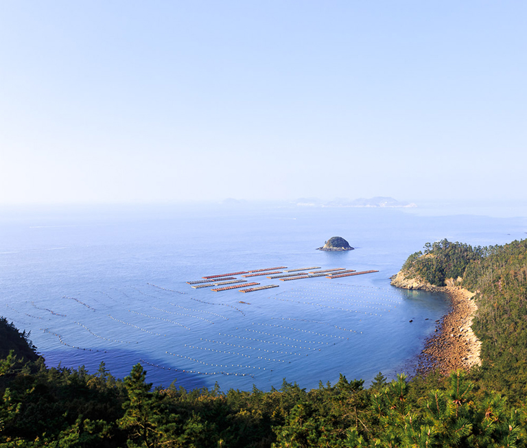 땅끝마을4