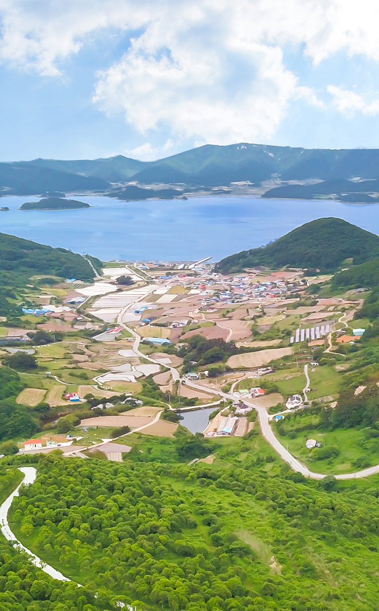 백향목숲휴양림 야경